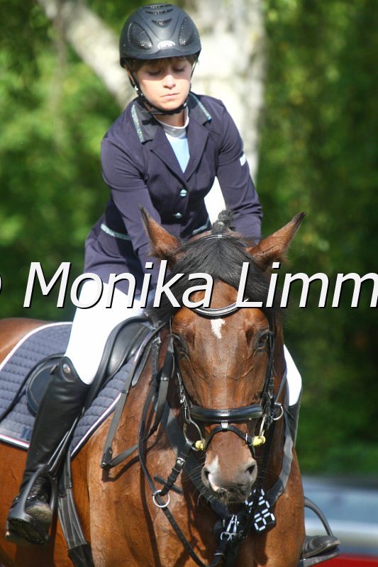 308M4513_Punkte Mxx.JPG